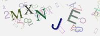 This is a captcha-picture. It is used to prevent mass-access by robots. (see: www.captcha.net)